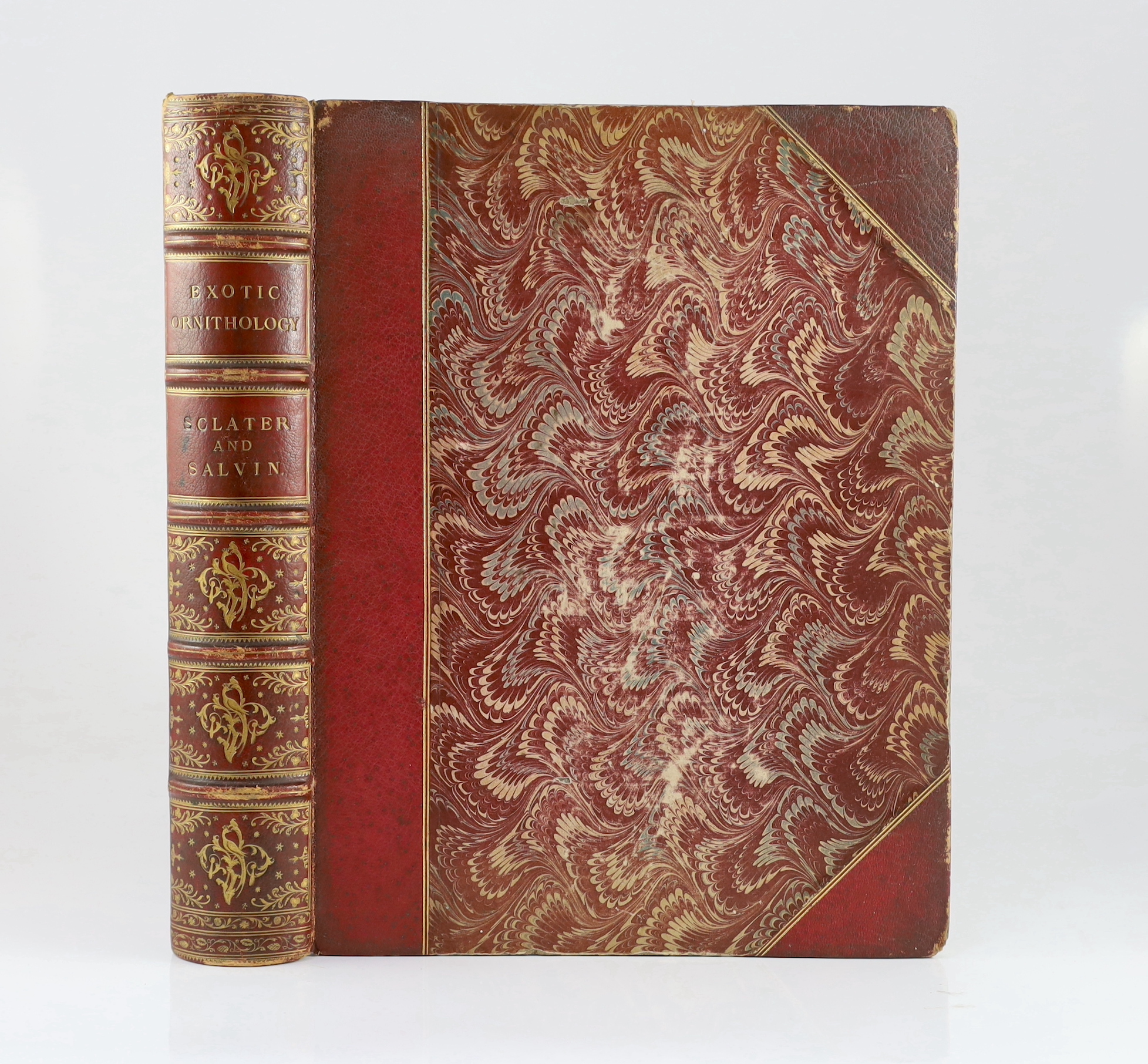 Sclater, Philip Lutley & Salvin, Osbert - Exotic Ornithology, containing Figures and Descriptions of New or Rare Species of American Birds. 100 hand-coloured plates and a few text figures; old red half morocco and marble
